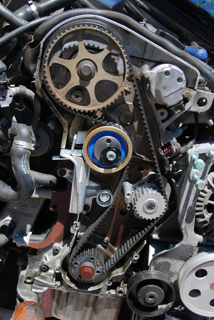 Engine Belts 3